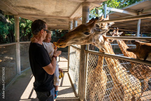 The girl's hand was giving food to the giraffe in the zoo. Father and little daughter feeding animal. Travel concept