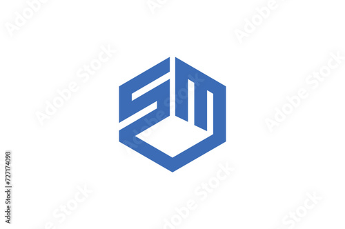 letter SM hexagon logo design