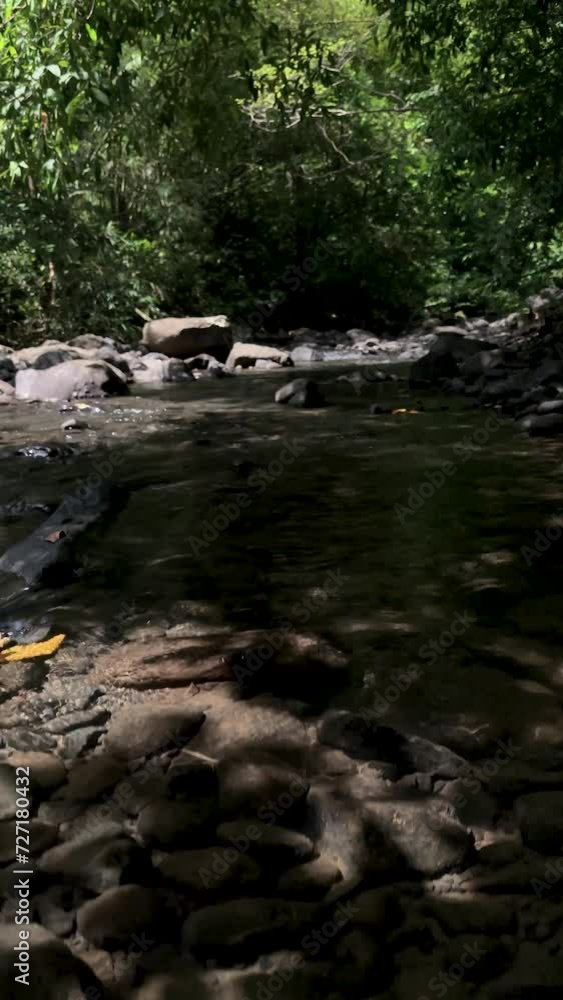 river in the forest sukabumi, indonesia river in the forest sukabumi, indonesia