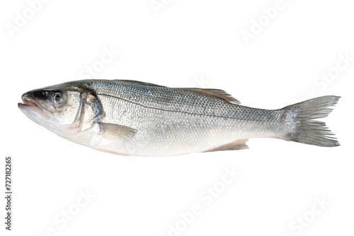 Raw fresh seabass fish isolated on white background. Food concept.