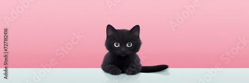 Cute little black cat on pink background. Cat banners.