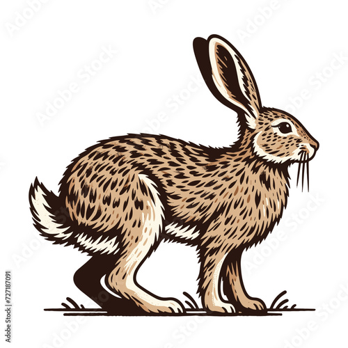Realistic wild animal hare rabbit design vector, zoology illustration, wild forest bunny flat design template isolated on white background