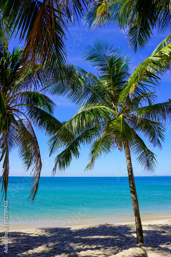 Beach in southeast asia. Palm trees and blue sea, heavenly place