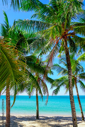 Beach in southeast asia. Palm trees and blue sea  heavenly place