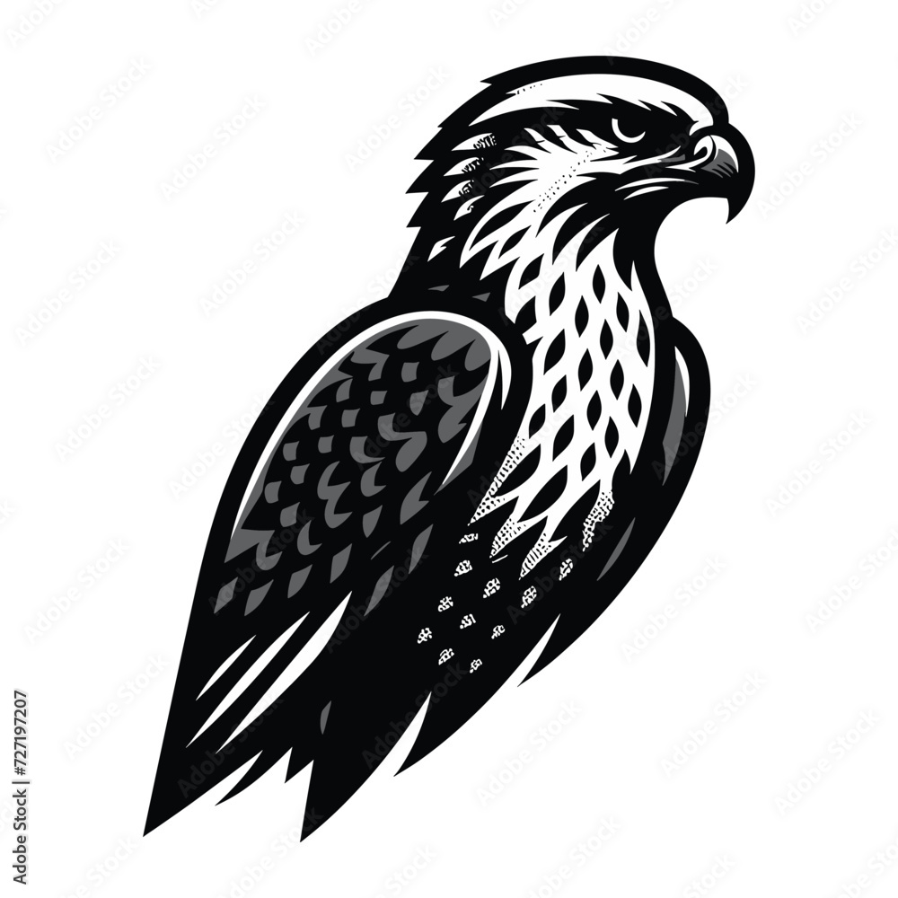 Obraz premium Wild animal bird of prey, raptor bird vector design illustration, hawk eagle falcon logo flat design template isolated on white background