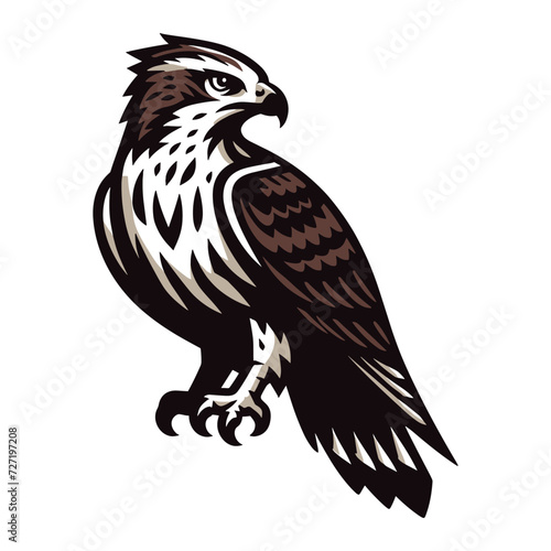 Wild animal bird of prey, raptor bird vector design illustration, hawk eagle falcon logo flat design template isolated on white background