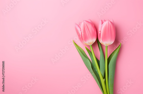 Bouquet of pink tulips on the pastel pink background. © Jovana Arandjelovic
