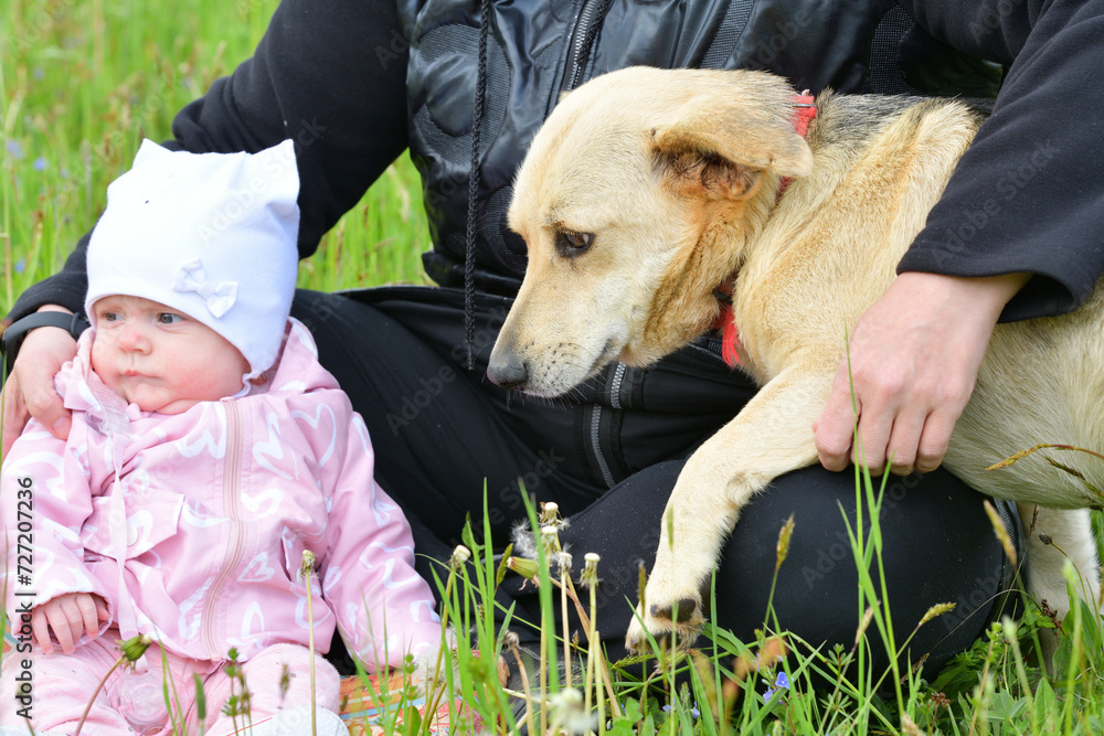 A man's love for a dog from birth not to be afraid of animals