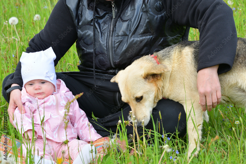 Love friendship between a dog and a little girl in nature