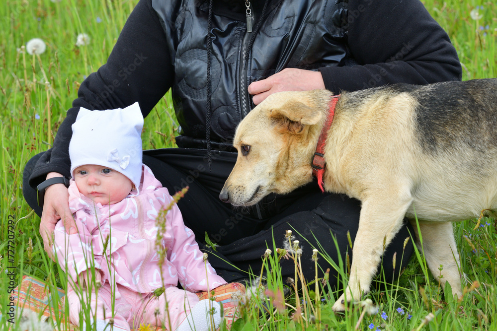 A little girl is sitting in a meadow and a dog is walking around