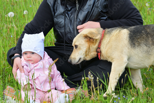 Obraz na płótnie A little girl is sitting in a meadow and a dog is walking around w salonie