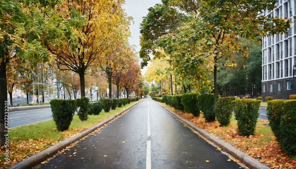 empty road in city in autumn time
