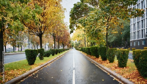 empty road in city in autumn time © Kristopher