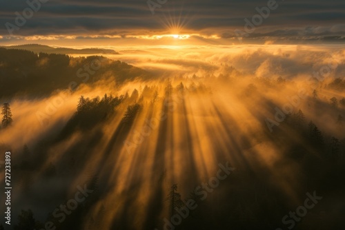 Sunset in the Forest, Golden Sunlight Through Trees, Misty Morning in the Woods, Rays of Light in a Foggy Forest. © Jevjenijs