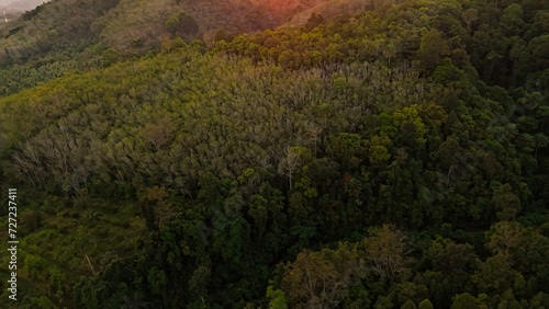 Aerial view forest sunset. Top view jungle mountain travel with atmosphere evening. Drone nature photography for background  wallpaper  feeling freedom  relax and holiday trip  summer vacation 