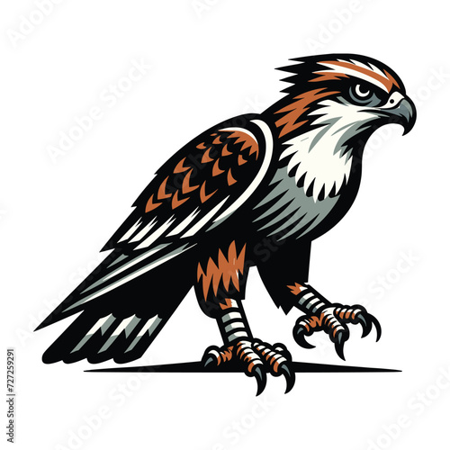 Wild animal bird of prey, raptor bird vector design illustration, hawk eagle falcon logo flat design template isolated on white background