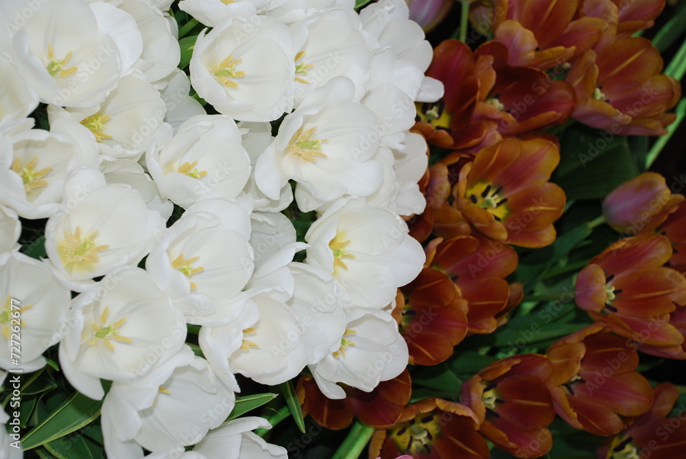 bouquet of white flowers bouquet of white flowers