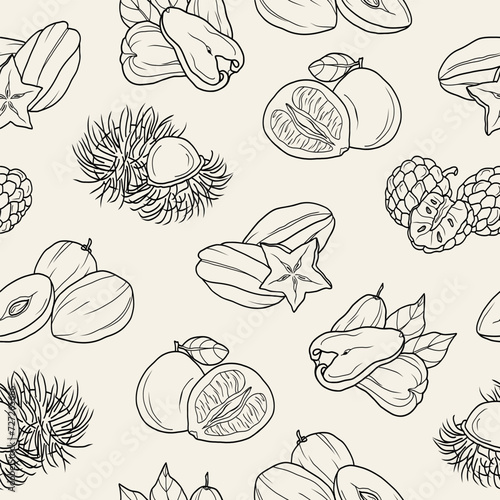 Line art thai fruits background. Carambola, rambutan, chompoo, custard apple, sapodilla, pomelo