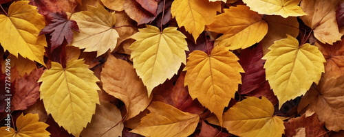 Autumn Leaves Collage Representing Seasonal Change.Close-up of a densely packed array of autumn leaves in various shades of yellow  orange  and red  highlighting the rich colors of the fall season.