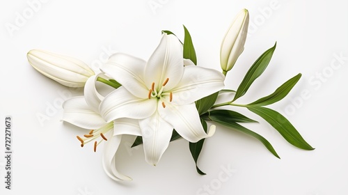 Present the freshness of an aerial view showcasing a single unblemished white lily in a clean and serene setting against a background of pure spotless clean white © Ramzan