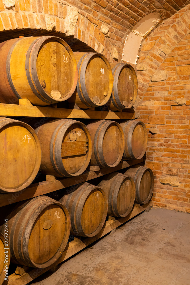 Modern production wine cellar with barrel in Southern Moravia, Czech Republic