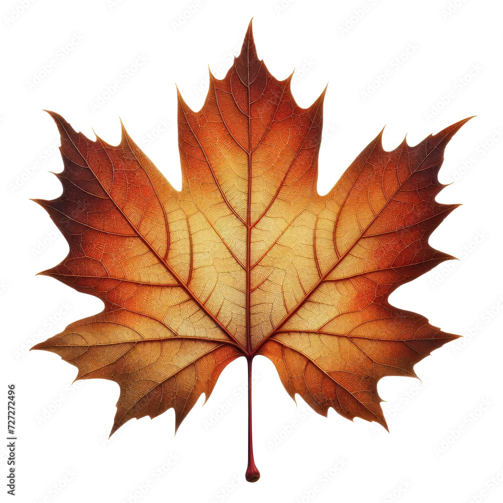 a faded tone leaf of autumn a faded tone leaf of autumn