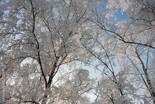 Nature and Snow © danieldefotograaf