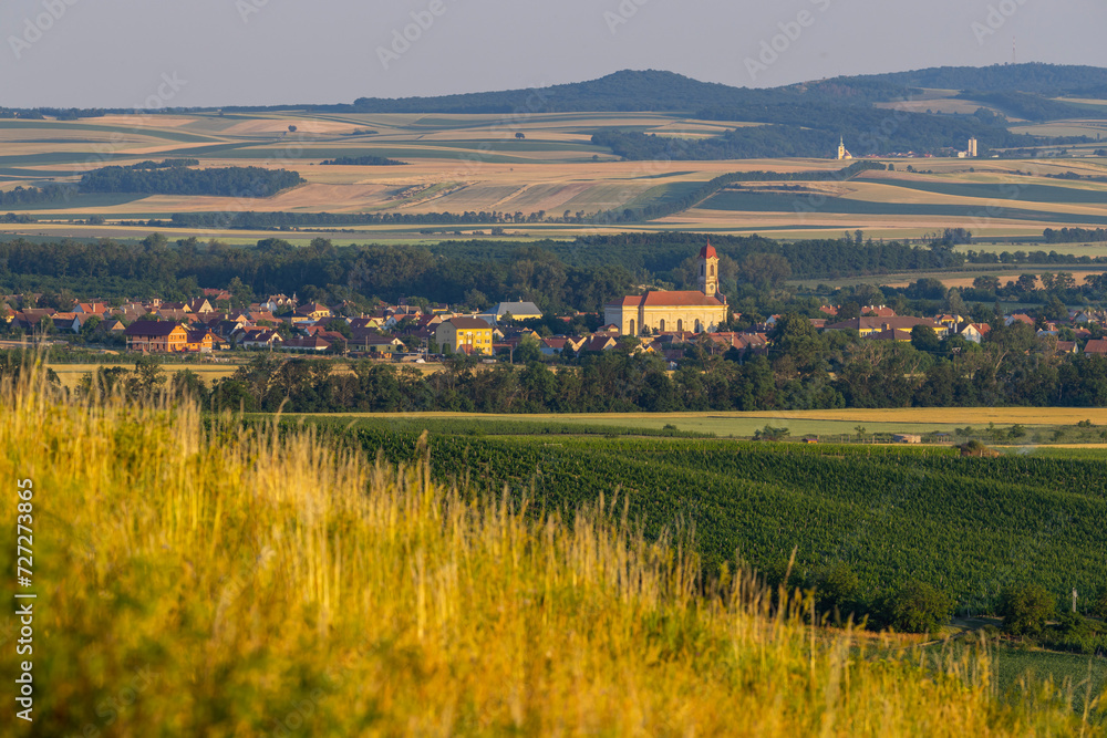 Palava landscape near Dolni Dunajovice, Southern Moravia, Czech Republic