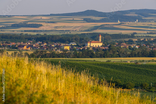 Palava landscape near Dolni Dunajovice  Southern Moravia  Czech Republic