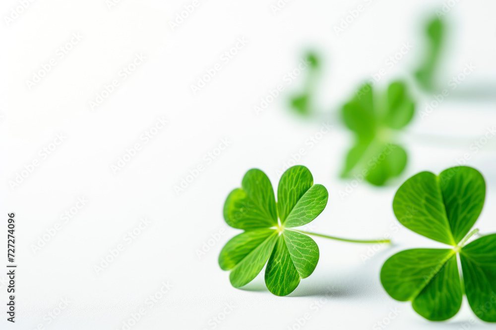 Concept of St. Patrick's Day, isolated on white background. Concept of St. Patrick's Day, isolated on white background.