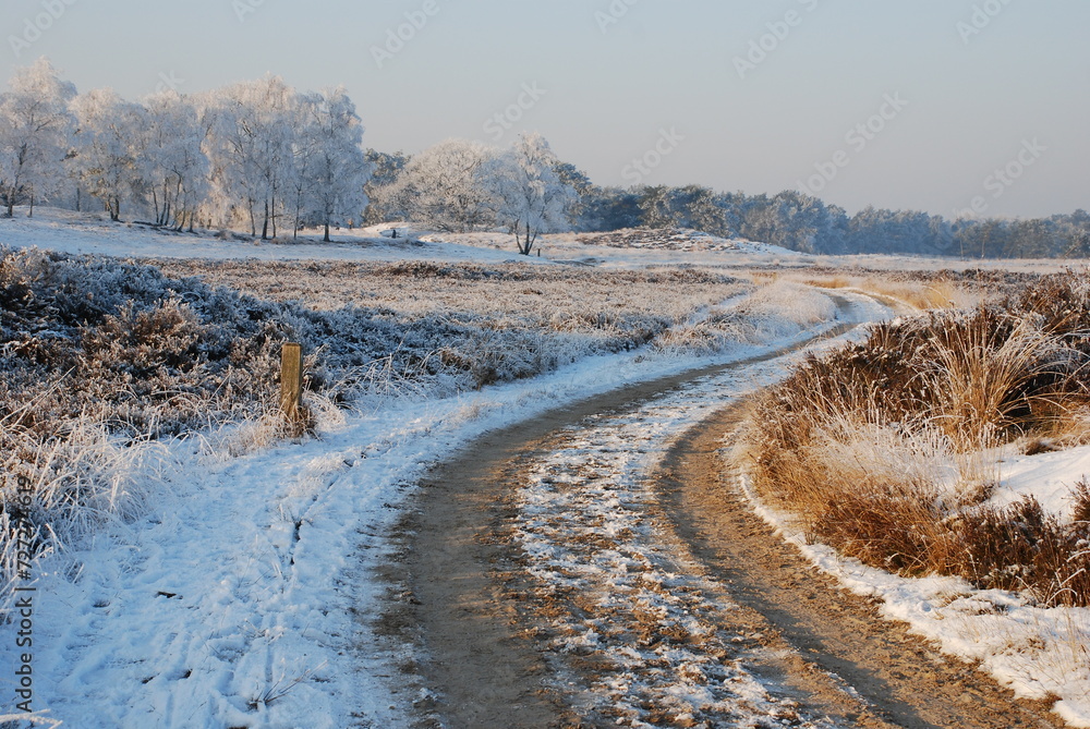 Winterlandscape in the Kalmthoutse heide, Belgium Winterlandscape in the Kalmthoutse heide, Belgium