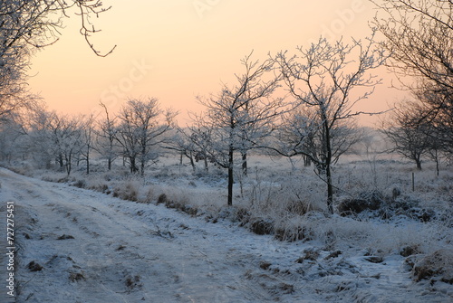 Winterlandscape in the Kalmthoutse heide, Belgium © danieldefotograaf