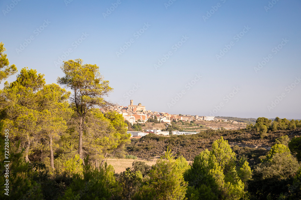 a view of Batea, comarca of Terra Alta, Province of Tarragona, Catalonia, Spain