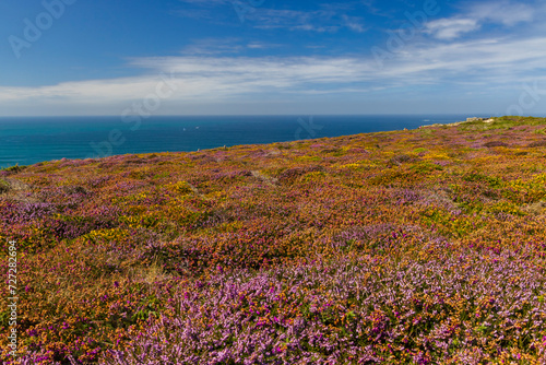 Landscape in Cap de la Chevre  Crozon  Brittany  France