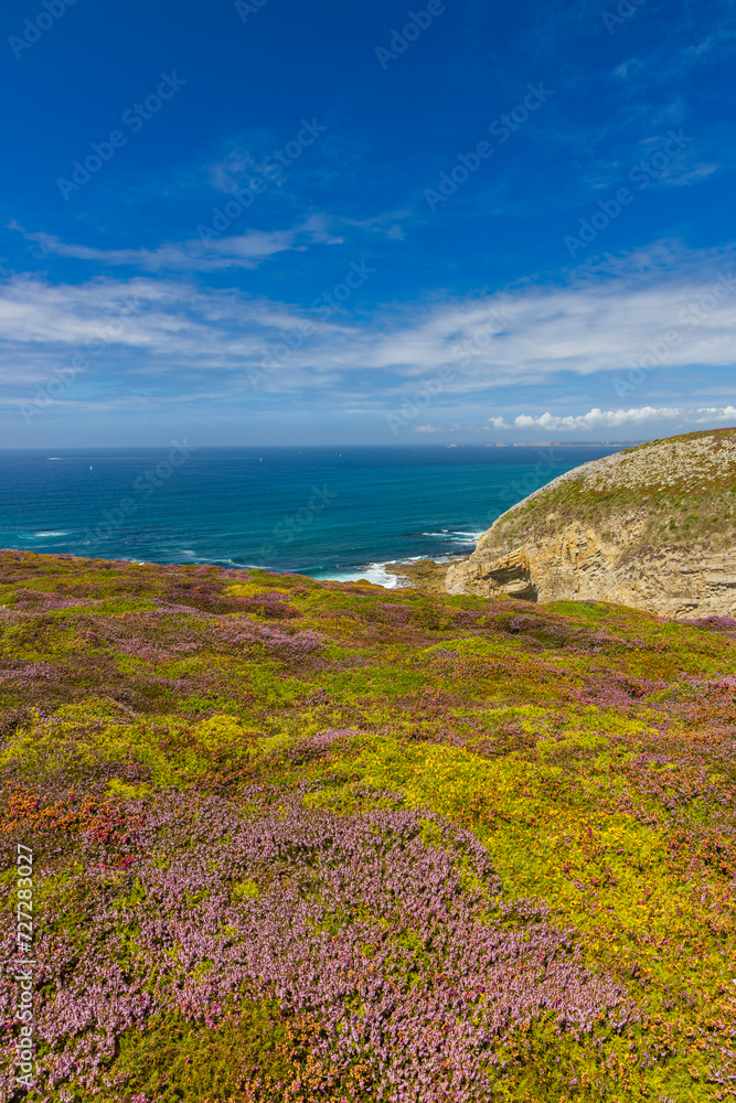 Landscape in Cap de la Chevre, Crozon, Brittany, France