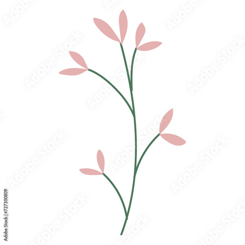 Fototapeta Naklejka Na Ścianę i Meble -  beautiful flowers flat color vector