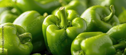 Organic green peppers found in nature.