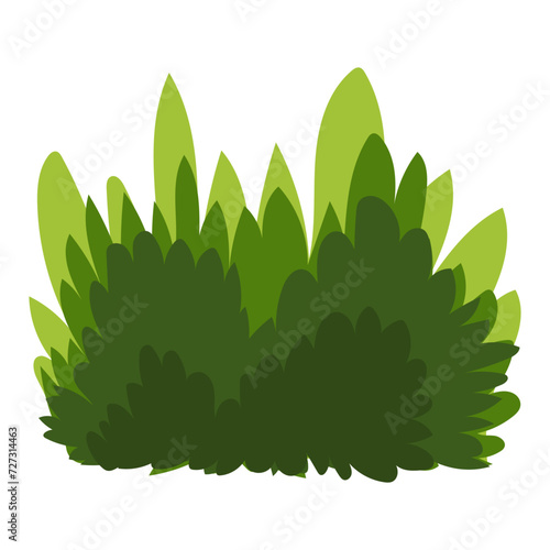 vector bush illustration photo