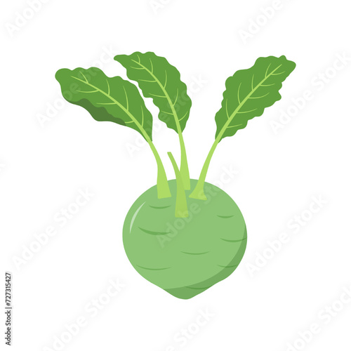 Cartoon kohlrabi vector alphabet K vegetable photo