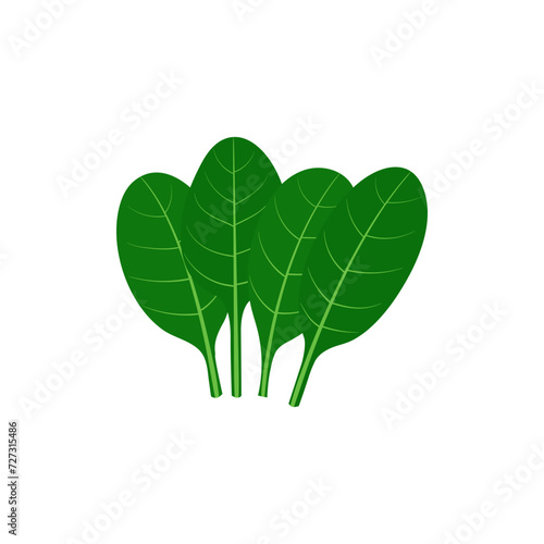 cartoon spinach vector alphabet S vegetable