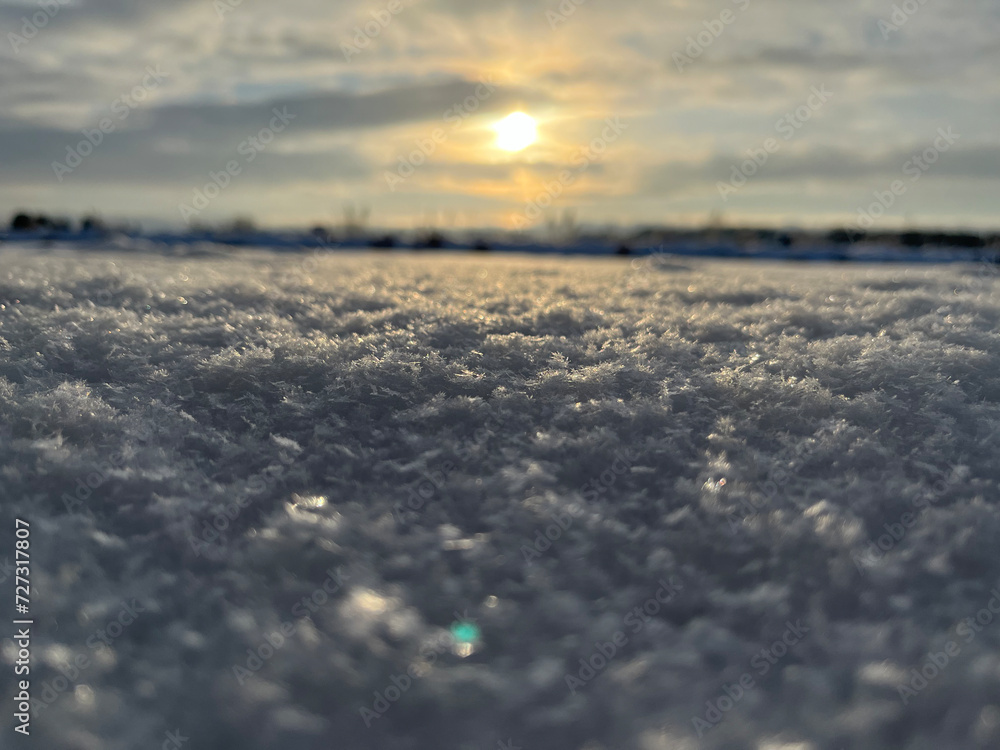 winter, field in snow, sunny winter day winter, field in snow, sunny winter day