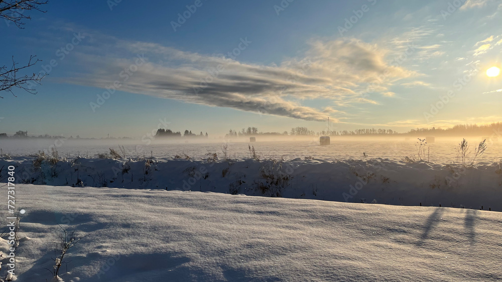 winter, field in snow, sunny winter day