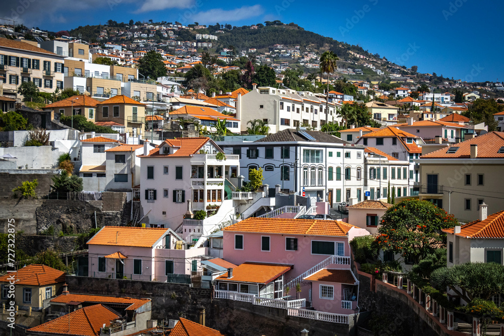 panoramic view over funchal and monte from cable car, aerial view, madeira, portugal, sea, mountains