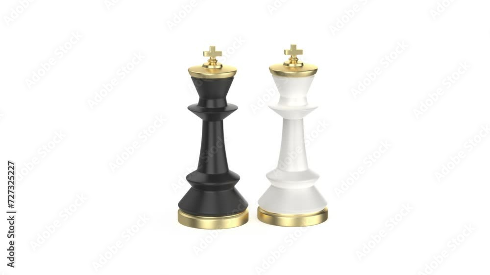 Black and white chess kings on white background Black and white chess kings on white background