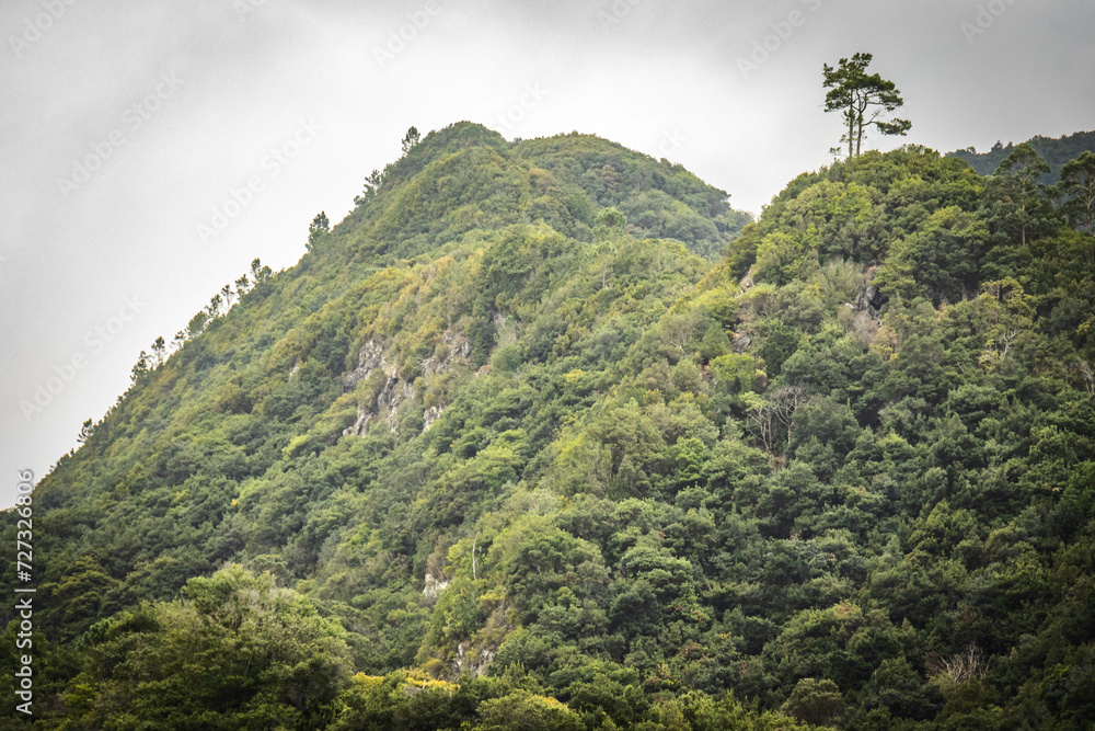 seixal, madeira, hinterland, lush green mountains, volcanic, portugal, europe