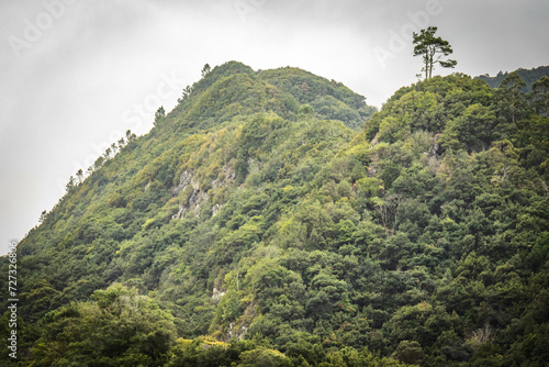 seixal, madeira, hinterland, lush green mountains, volcanic, portugal, europe