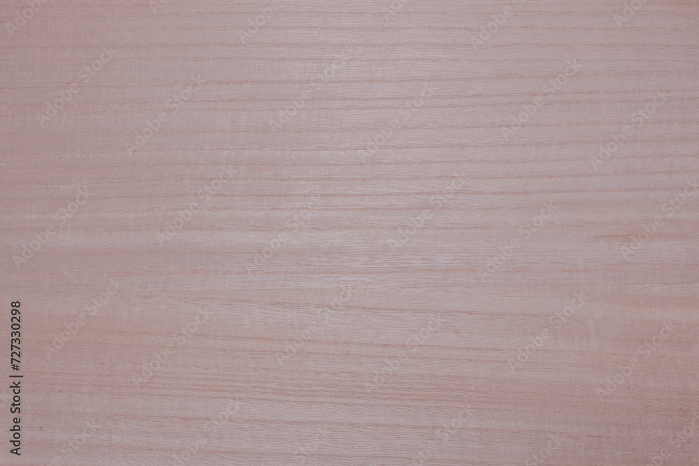 Texture of Light Beige Wood. Background With Texture of Light Smooth Wood. Texture of Light Beige Wood. Background With Texture of Light Smooth Wood.