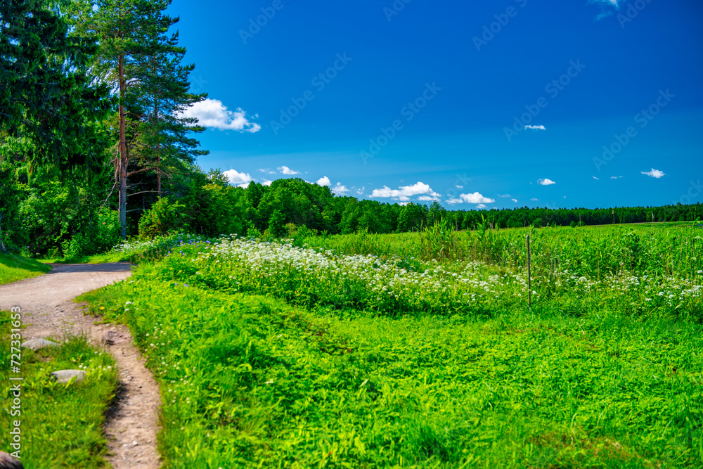 A green meadow against a blue sky with clouds A green meadow against a blue sky with clouds