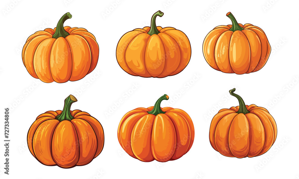set of pumpkins vector on white background