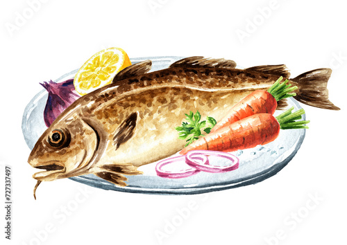 Fototapeta Naklejka Na Ścianę i Meble -  Fresh fish cod.  Hand drawn watercolor illustration,  isolated on white background